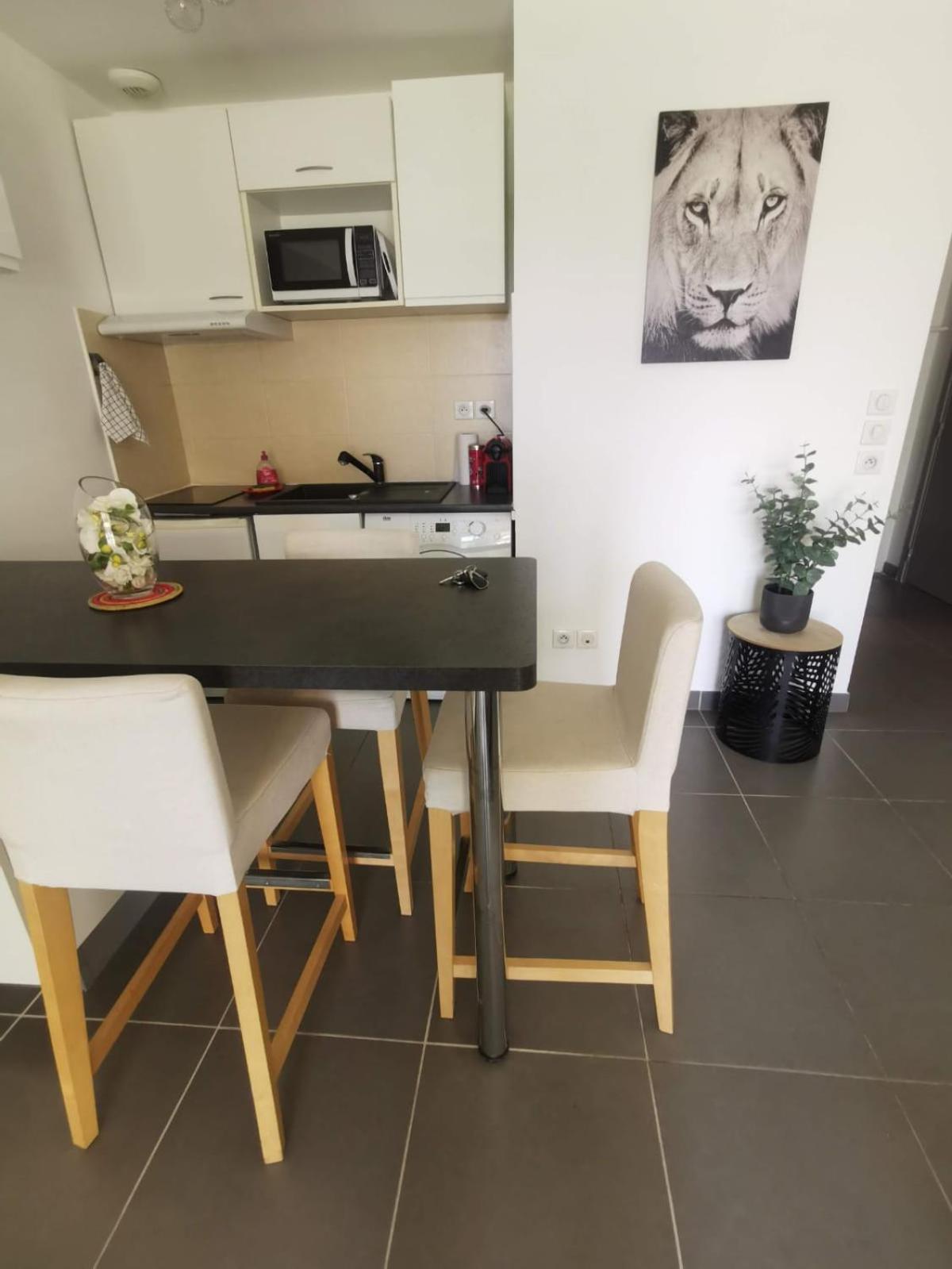Avec Terrasse Appartement Montpellier