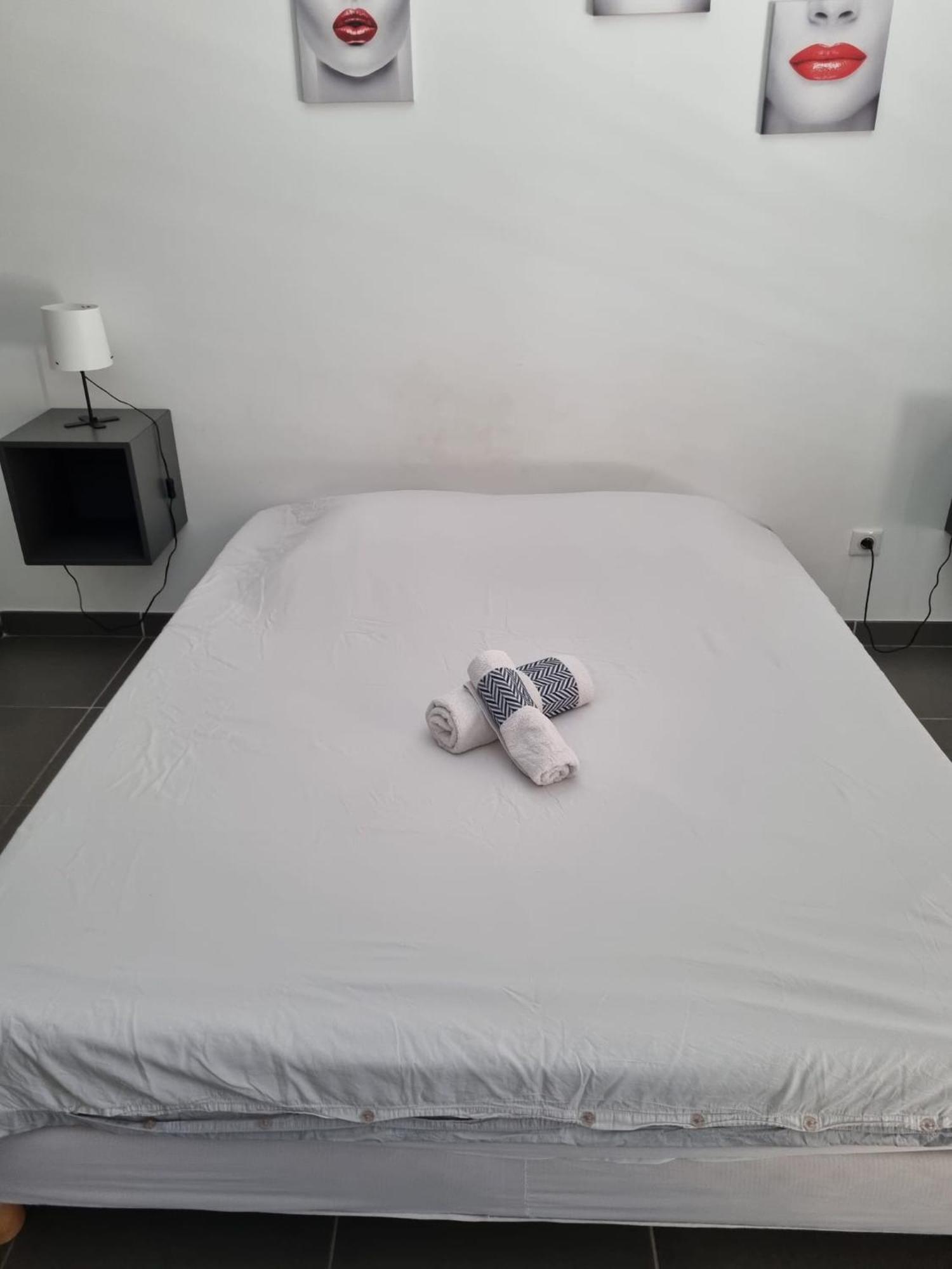 Avec Terrasse Appartement Montpellier